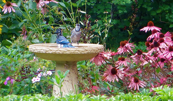 best location for bird bath