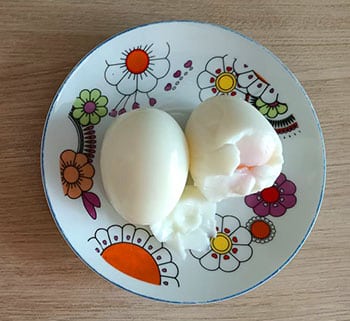 feed fledgling birds boiled eggs