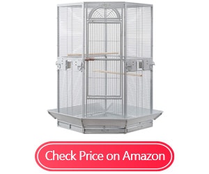 flyline corner cockatiel bird cages