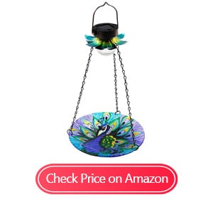 maggift solar powered bird bath