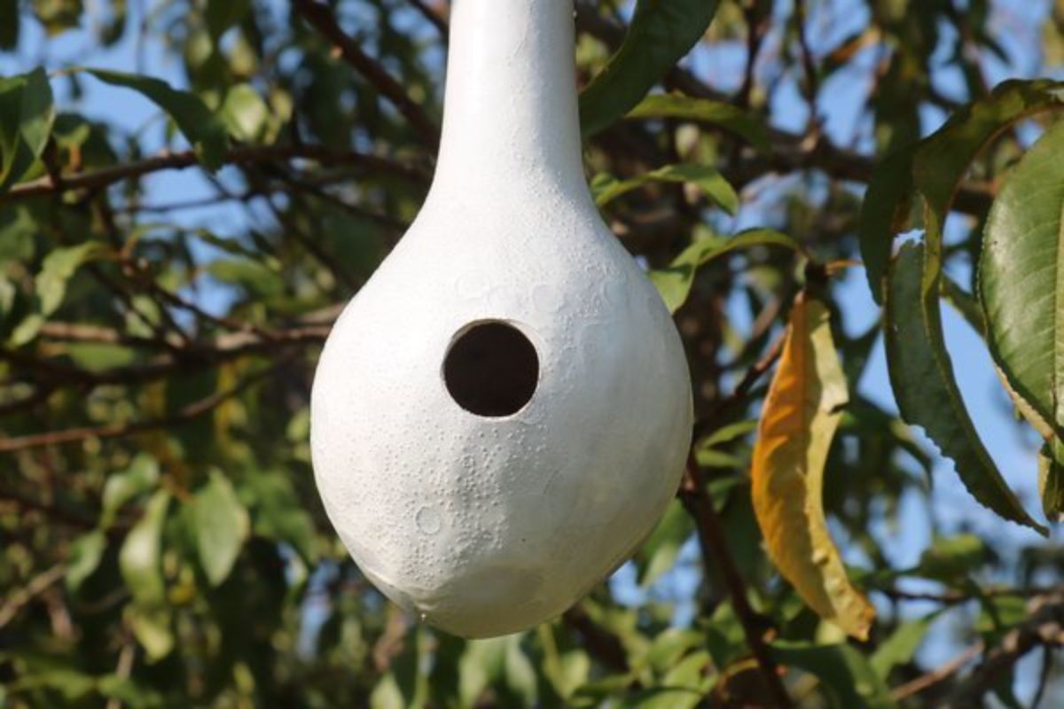 A white bird house hanging on a tree.