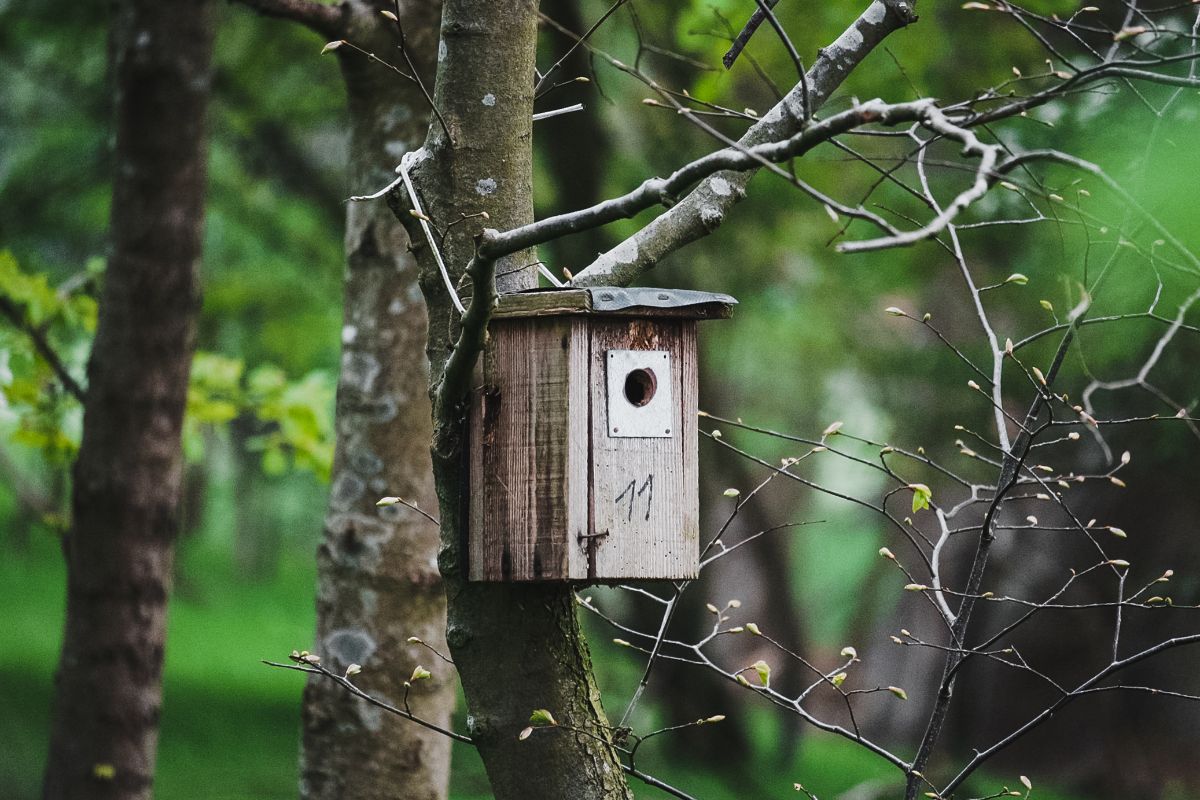 A small wooden bird house on a tree.