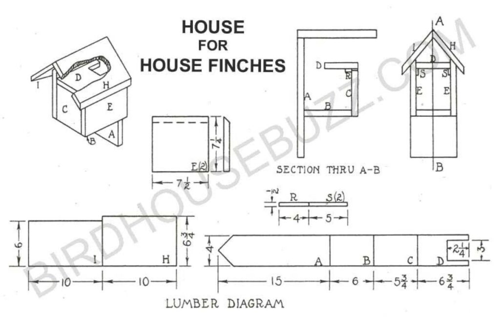 Finch Bird House: 11 Best Plans You Can DIY Bird Nature Finch Bird House: 11 Best Plans You Can DIY Bird Nature
