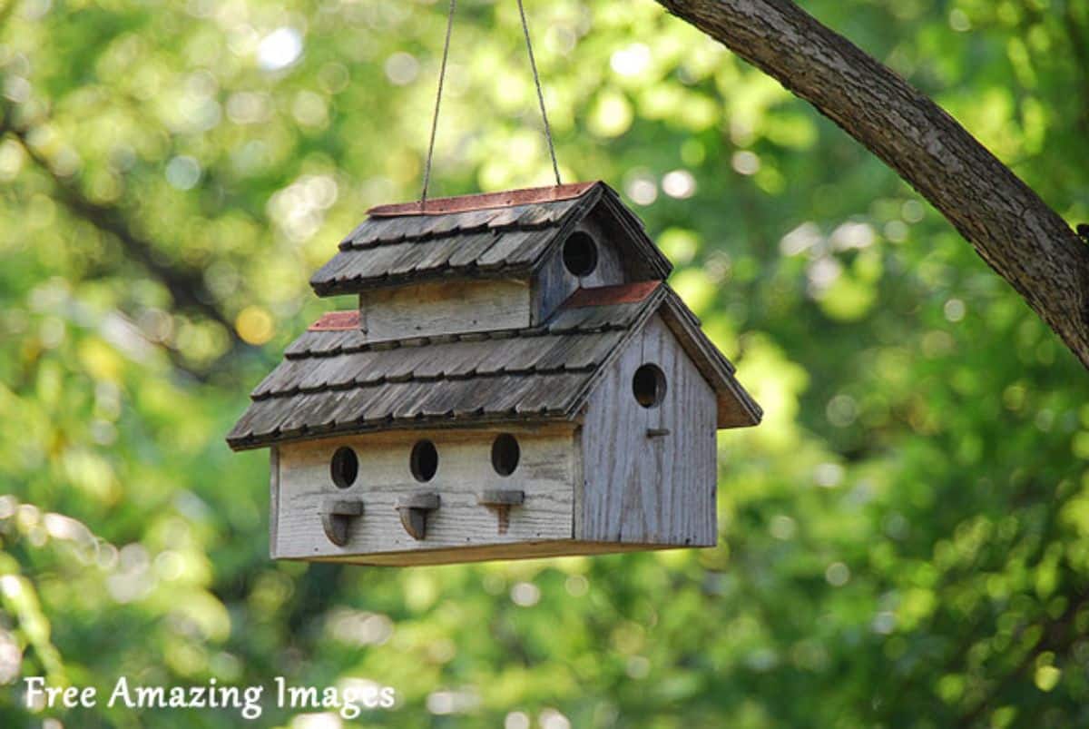 A wooden bird house hanging on a tree.