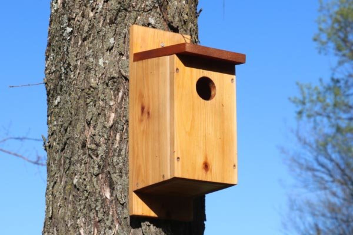 A wooden bird house on a tree.