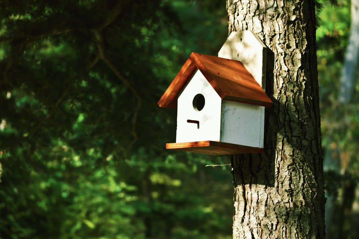 A small wooden bird house on a tree.