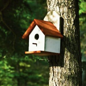 A small wooden bird house on a tree.