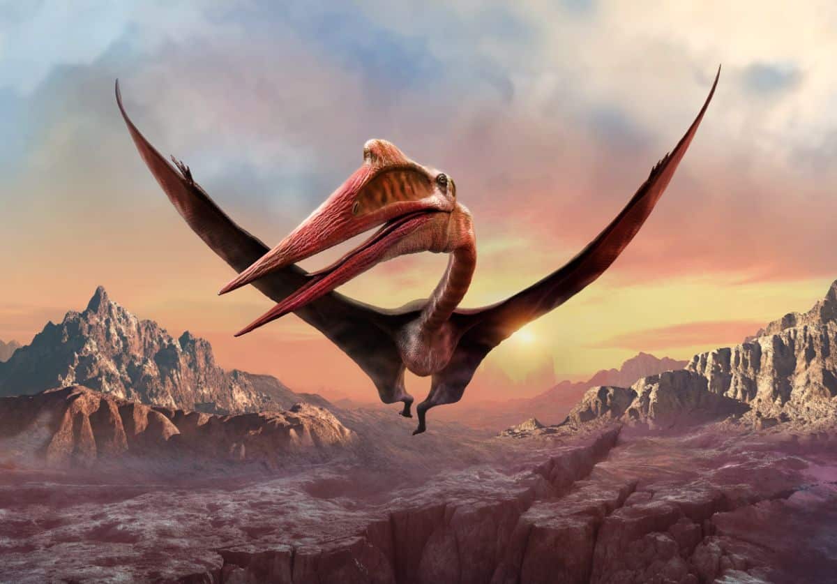 An illustration of a prehistorical Quetzalcoatlus creature.